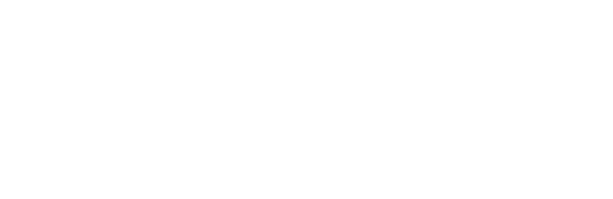 ALTRA 20